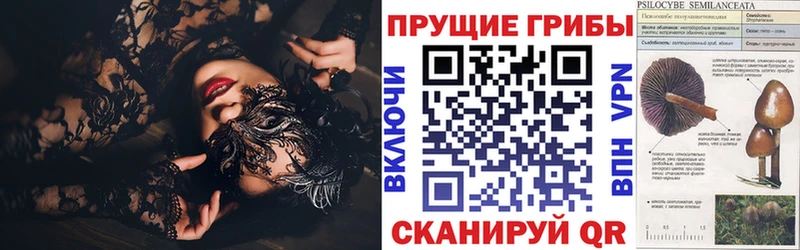 Псилоцибиновые грибы прущие грибы  Южноуральск 